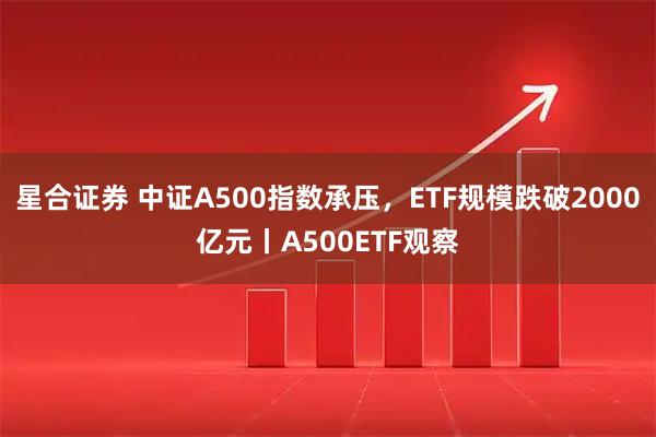 星合证券 中证A500指数承压，ETF规模跌破2000亿元丨A500ETF观察