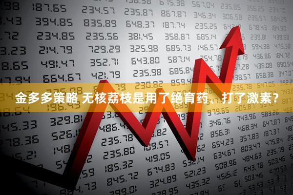 金多多策略 无核荔枝是用了绝育药、打了激素？