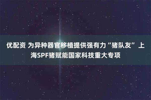 优配资 为异种器官移植提供强有力“猪队友” 上海SPF猪赋能国家科技重大专项