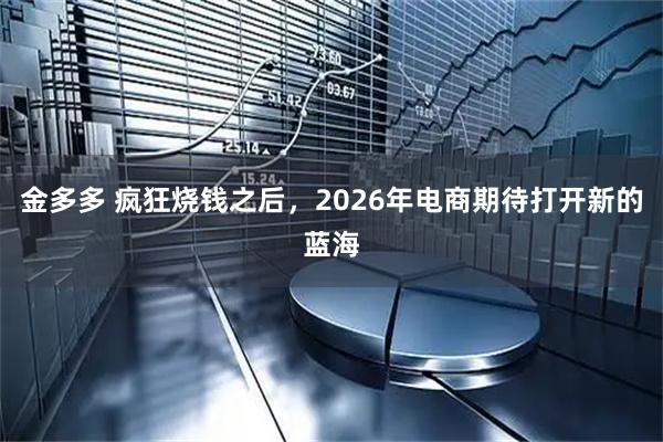 金多多 疯狂烧钱之后，2026年电商期待打开新的蓝海