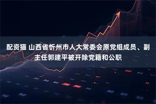配资猫 山西省忻州市人大常委会原党组成员、副主任郭建平被开除党籍和公职